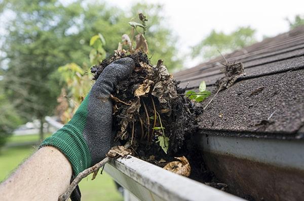 neglecting gutter cleaning can lead to water damage, foundation issues, and pest infestation